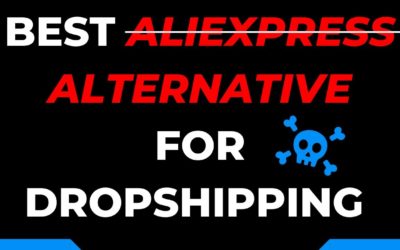 BEST ALIEXPRESS ALTERNATIVE FOR DROPSHIPPING | Aliexpress Is Dead 2021| Shopify Dropshipping