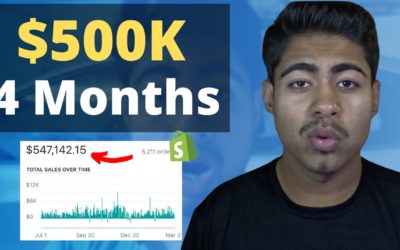 How This One Product Store Did $500K (Shopify Dropshipping)