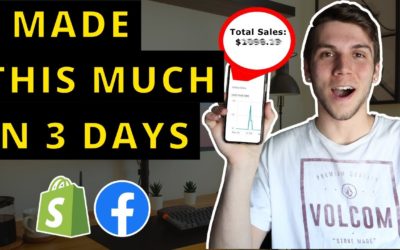 I Tried DROPSHIPPING for 3 DAYS (LEGIT RESULTS)