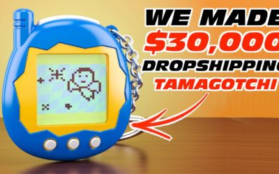 How we made $30,000 Dropshipping Tamagotchi on Shopify & eBay | Dropshipping Secrets Revealed