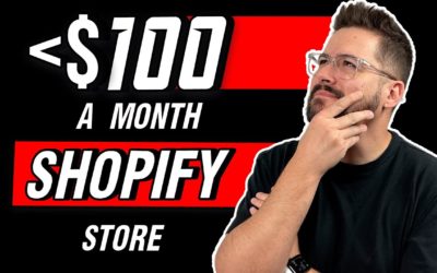 This Shopify T-Shirt Store Makes Less Than $75 Per Month | Store Review