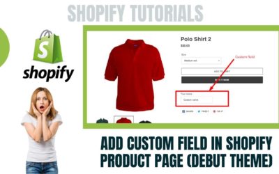 Add Custom Field in Shopify Product Page (Debut Theme)