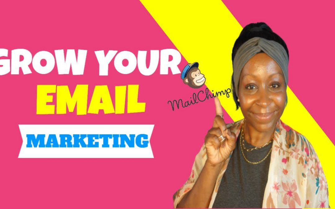 Small Business Marketing 101 To Grow Your Email List ( 2021)