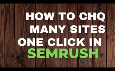 CHQ Bulk sites analysis in semrush. #semrush #domainauthority