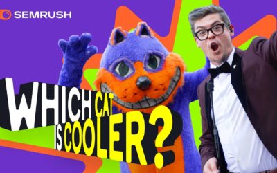Most Searched Things on Google | Which Cat Is Cooler?